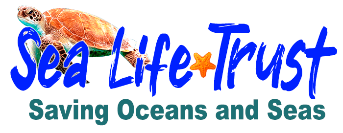 SeaLifeTrust: Saving Oceans and Seas