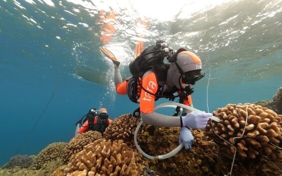 Exploratory Expedition Reveals Remarkable Microbial Diversity Within Coral Reefs