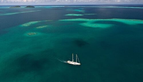 During the 100,000-kilometer voyage, the research team visited 249 locations across the Pacific Ocean, including Indonesia, Japan, and Papua New Guinea