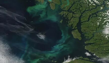 Study Suggests Climate Breakdown is Altering the Color of World's Oceans