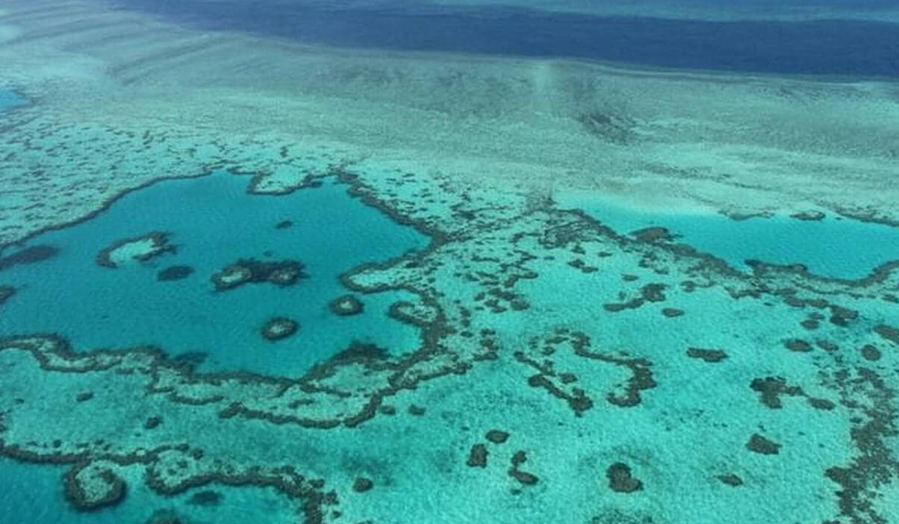 Why the Bleaching of the Great Barrier Reef is a Disaster for the Whole World