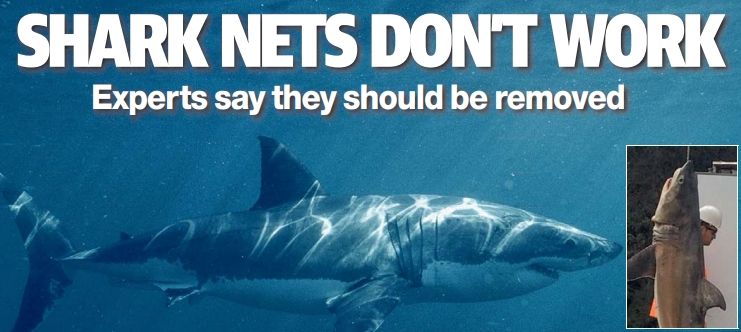 Shark Nets Don’t Work – Southern Courier